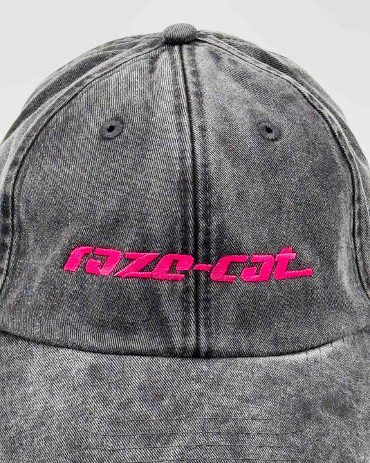 Raze-Cat mit komplettem Logo + Racing Service Schriftzug - Detail Logo